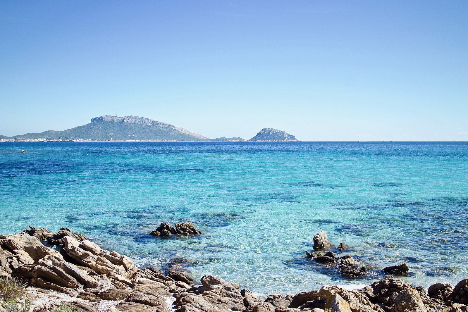 landscape-3715977_1920.jpg