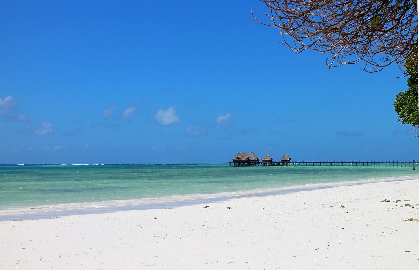 zanzibar.jpg